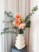 AMARYLLIS VIT