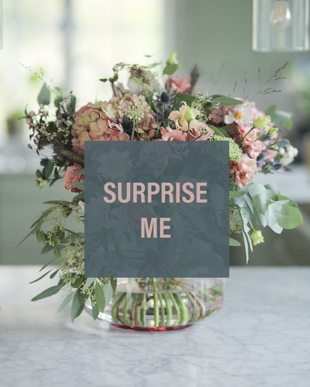 SURPRISE ME