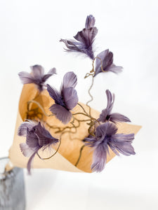 ORMHASSEL MED BLOMSTERFJÄDRAR
