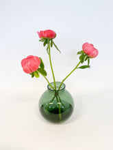 CORAL CHARM PIONER